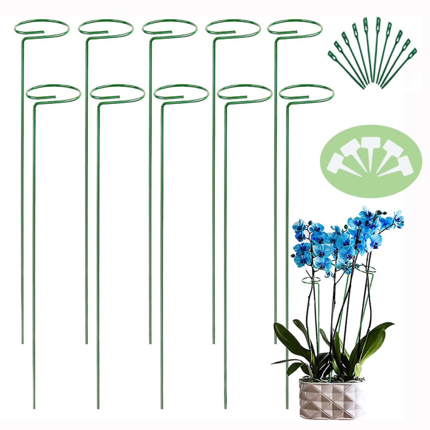 Noveden 10pcs Set Plant Flower Stake Single Stem Support Home Garden Stick Green